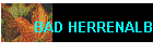 BAD HERRENALB